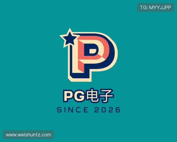 了解PG电子